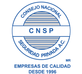 Logo CNSP